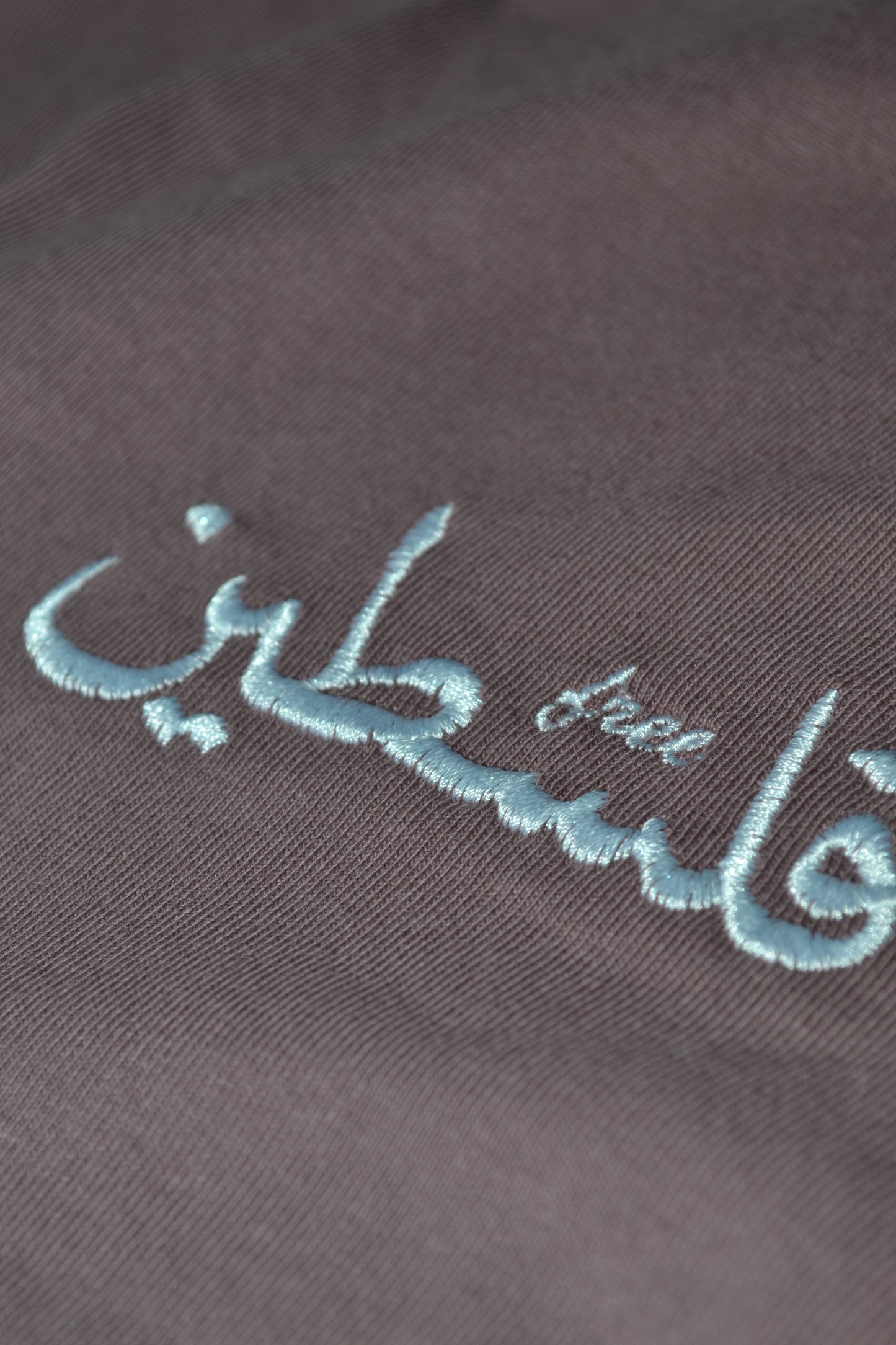T-shirt oversize coton bio - Free Palestine brodé - Ghazel Boutique